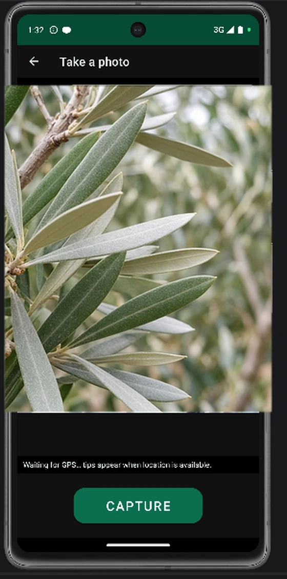 NeuroFarming capture screen showing olive leaves