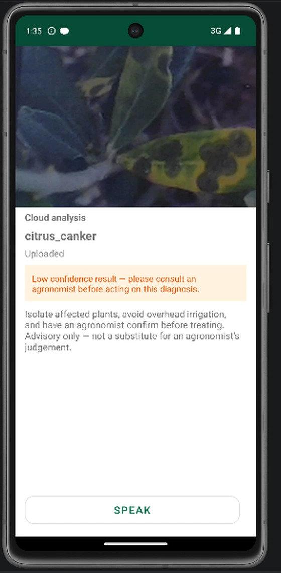 NeuroFarming cloud diagnosis screen